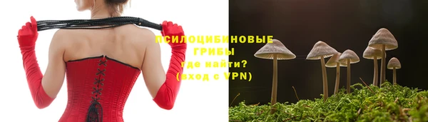 стафф Алексин