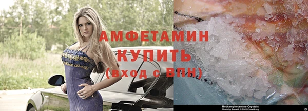 прущие грибы Вязьма