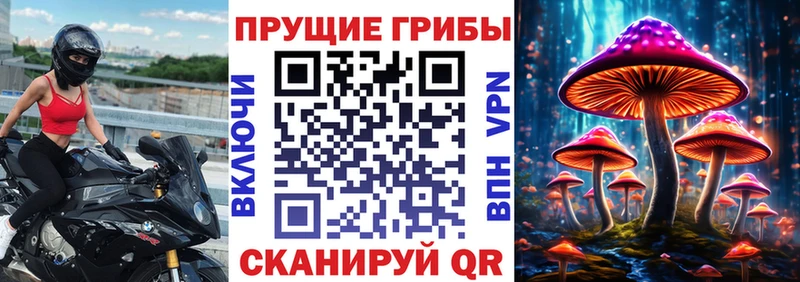 Псилоцибиновые грибы Cubensis где купить наркоту Дивногорск